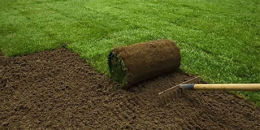 خاکورزی و تغذیه چمن